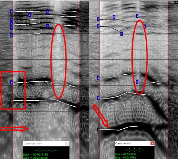 spectogram-of-phonetic-fingerprint